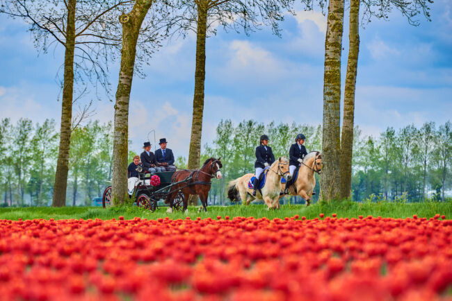 © Pim van der Maden