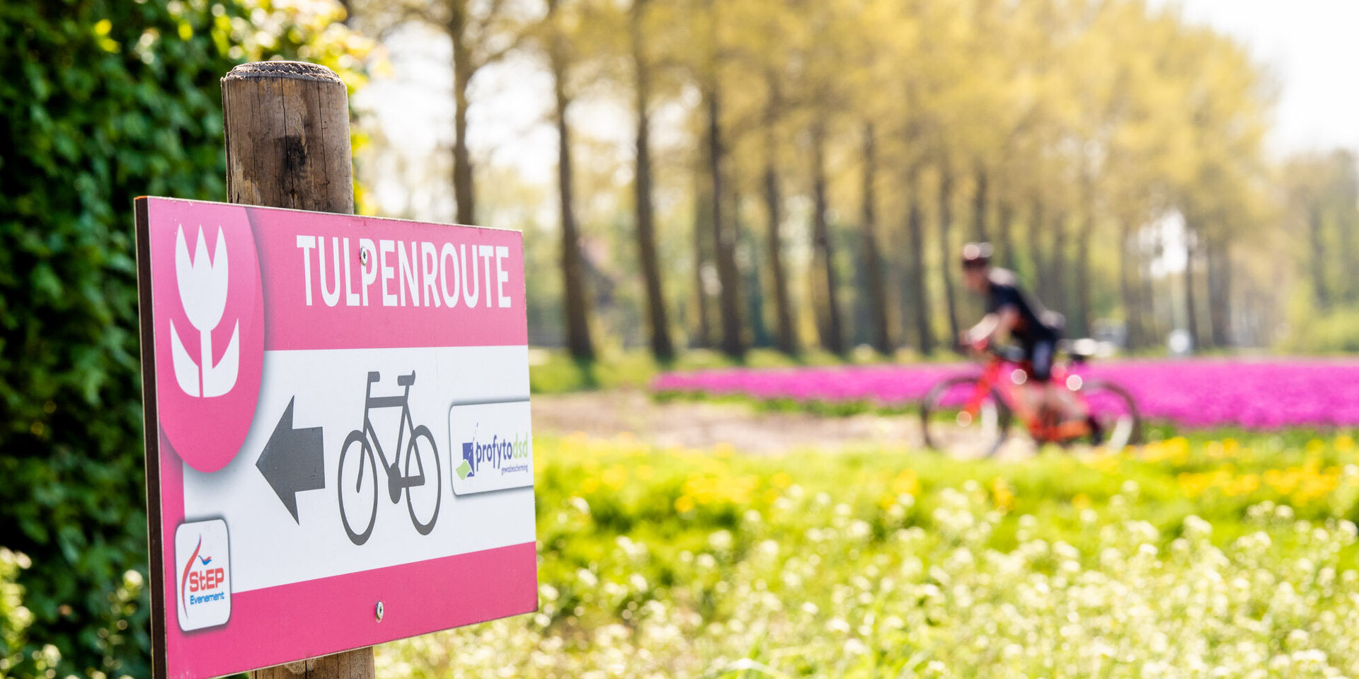 2019_Tulpenfestival_Web-2