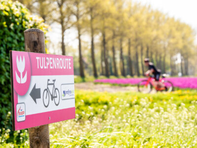 Tulpen fietsroute