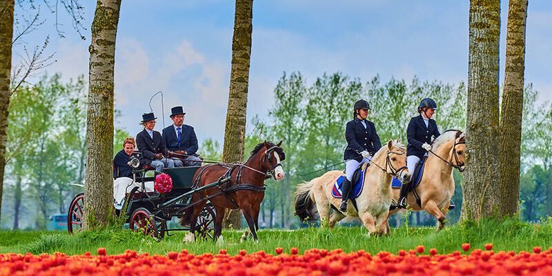 800×600-Koetsentocht-2018