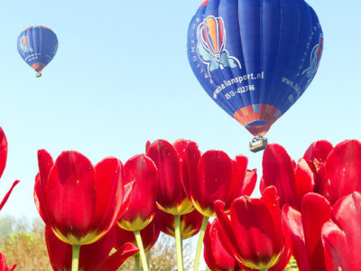 Balloon flight over the tulip fields
