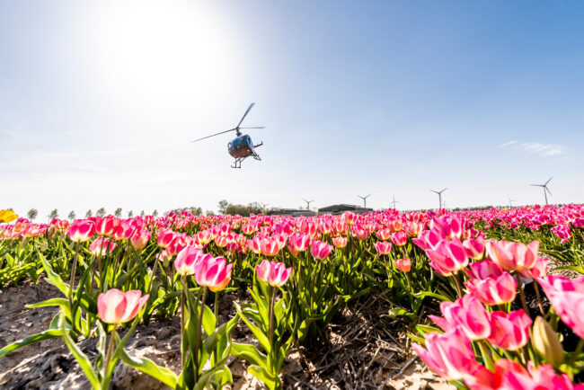 2019_Tulpenfestival_Highres-71