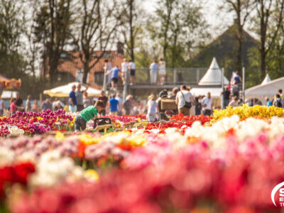 Tulip Festival Location: Tulip Experience Field