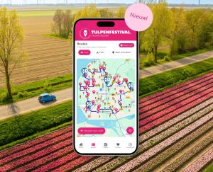 Vernieuwde gratis Tulpenfestival-app gelanceerd: “Gebruiksvriendelijker en met drietalige audiotour.”