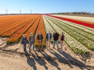Rabobank, Tulpenroute Flevoland and Tulpenfestival NOP confirm partnership
