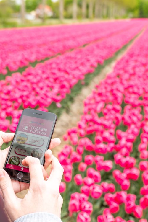 202204_Tulpen_Festival_StEP_Web-Sjors_Evers-152